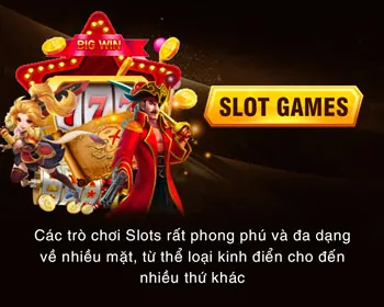 Các loại Cookie được S689 Nổ Hũ sử dụng